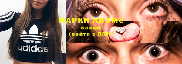 прущие крисы Новозыбков