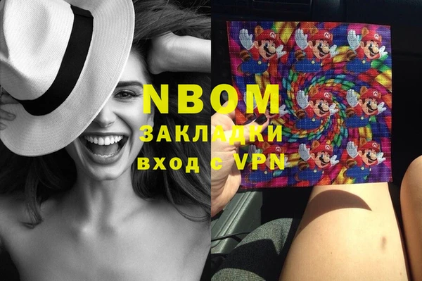 гашик Новодвинск