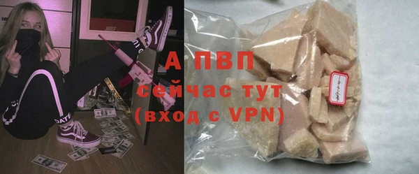 прущие крисы Новозыбков