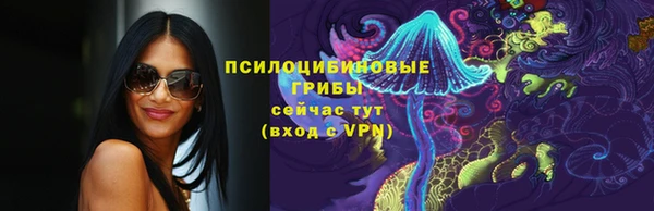 ГАЛЛЮЦИНОГЕННЫЕ ГРИБЫ Новокубанск