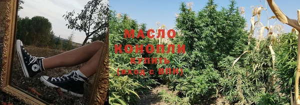 прущие крисы Новозыбков