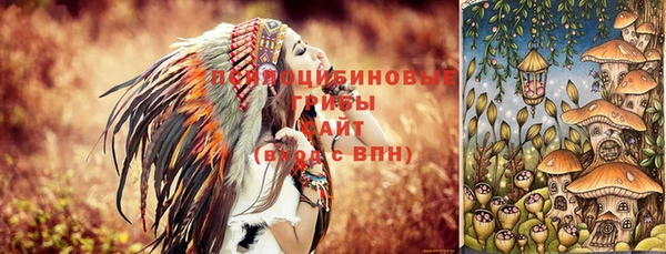 ГАЛЛЮЦИНОГЕННЫЕ ГРИБЫ Новокубанск