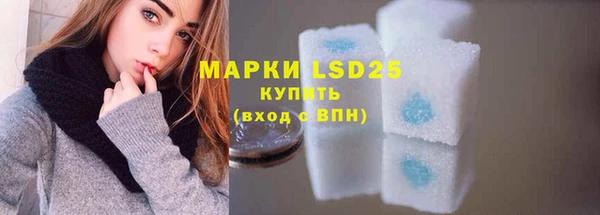 гашик Новодвинск