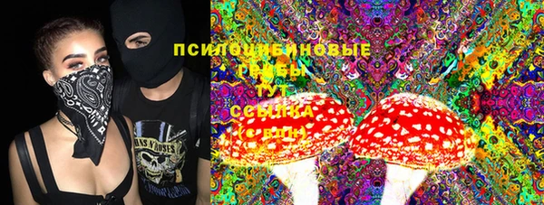 ГАЛЛЮЦИНОГЕННЫЕ ГРИБЫ Новокубанск