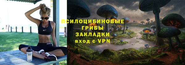 ГАЛЛЮЦИНОГЕННЫЕ ГРИБЫ Новокубанск