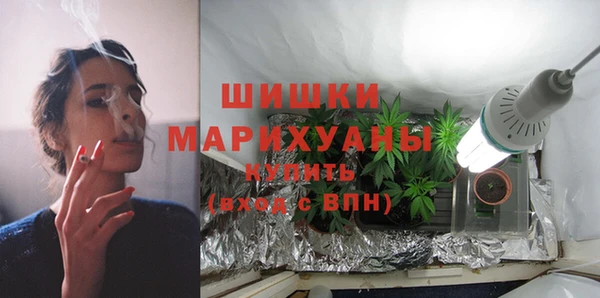 гашик Новодвинск