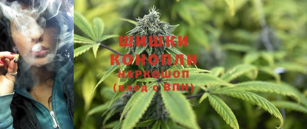 прущие крисы Новозыбков