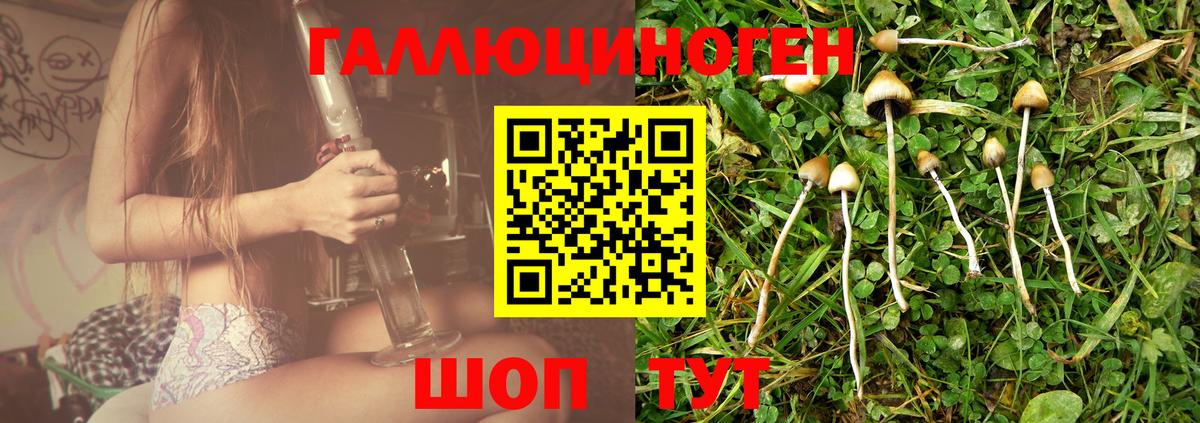 Псилоцибиновые грибы мухоморы Боровичи