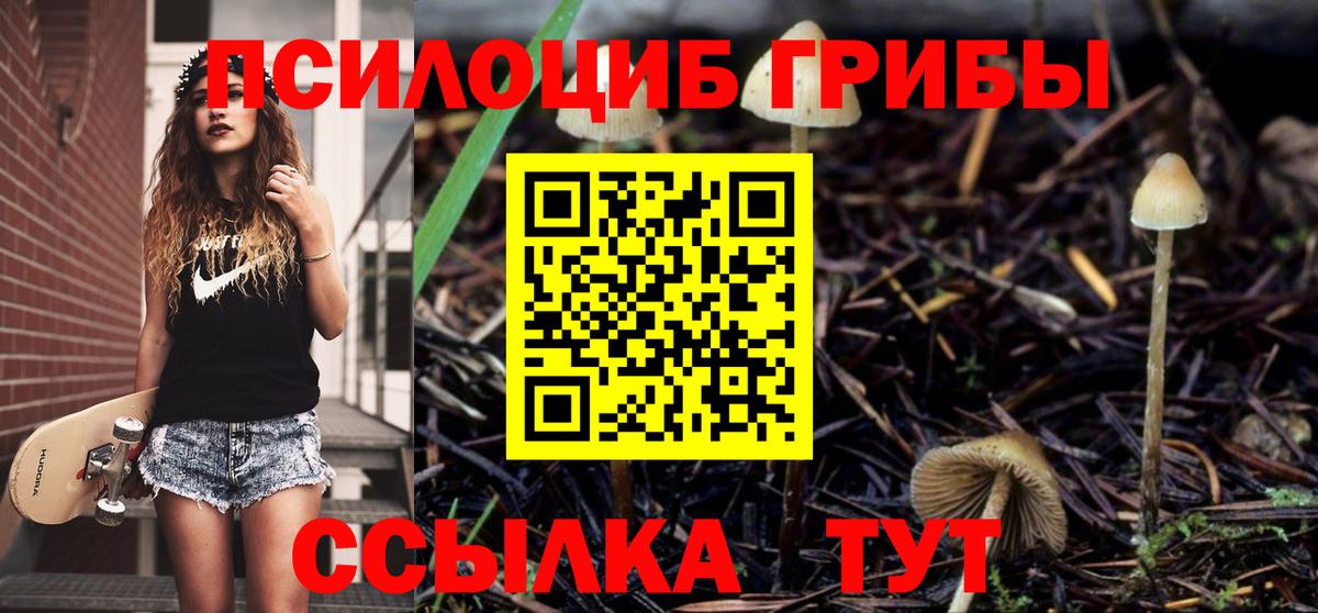 купить   Псилоцибиновые грибы Magic Shrooms  Боровичи  Вход с VPN  Галлюциногенные грибы прущие грибы 
