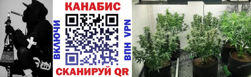 Бошки Шишки план  Боровичи 